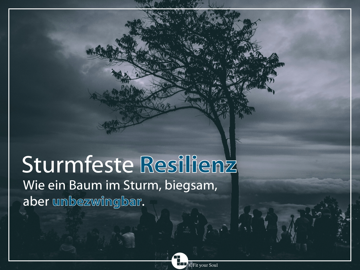 Ein sturmfester Baum als Symbol für die Fähigkeit der Resilienz